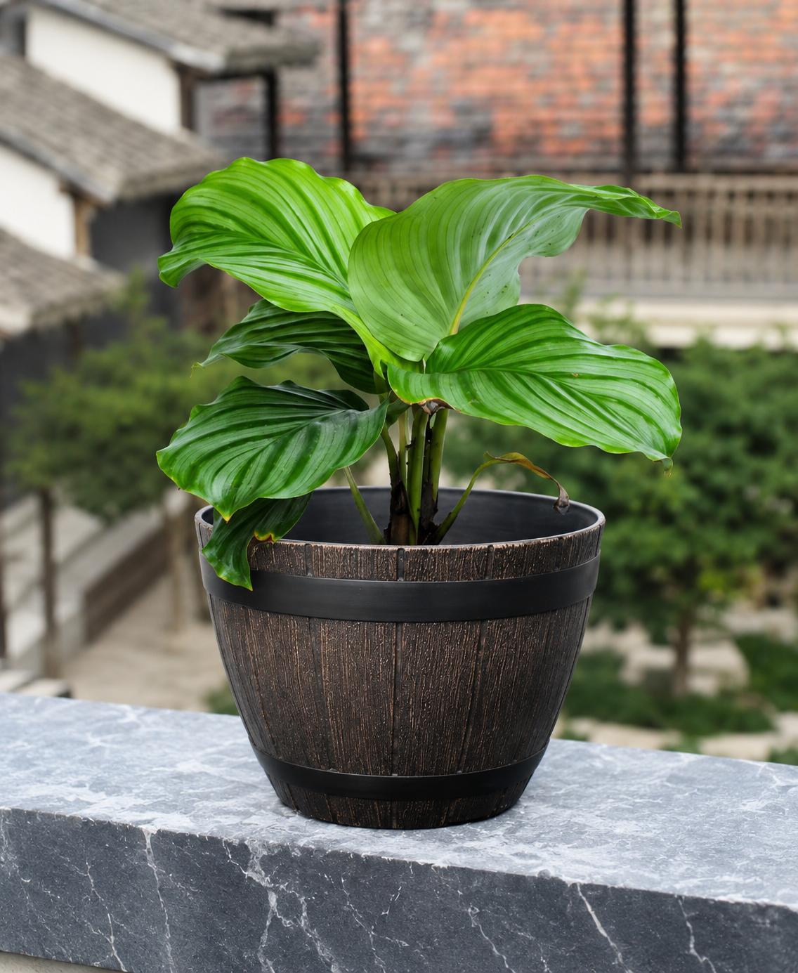 Set 2 Rustic Barrel Planter