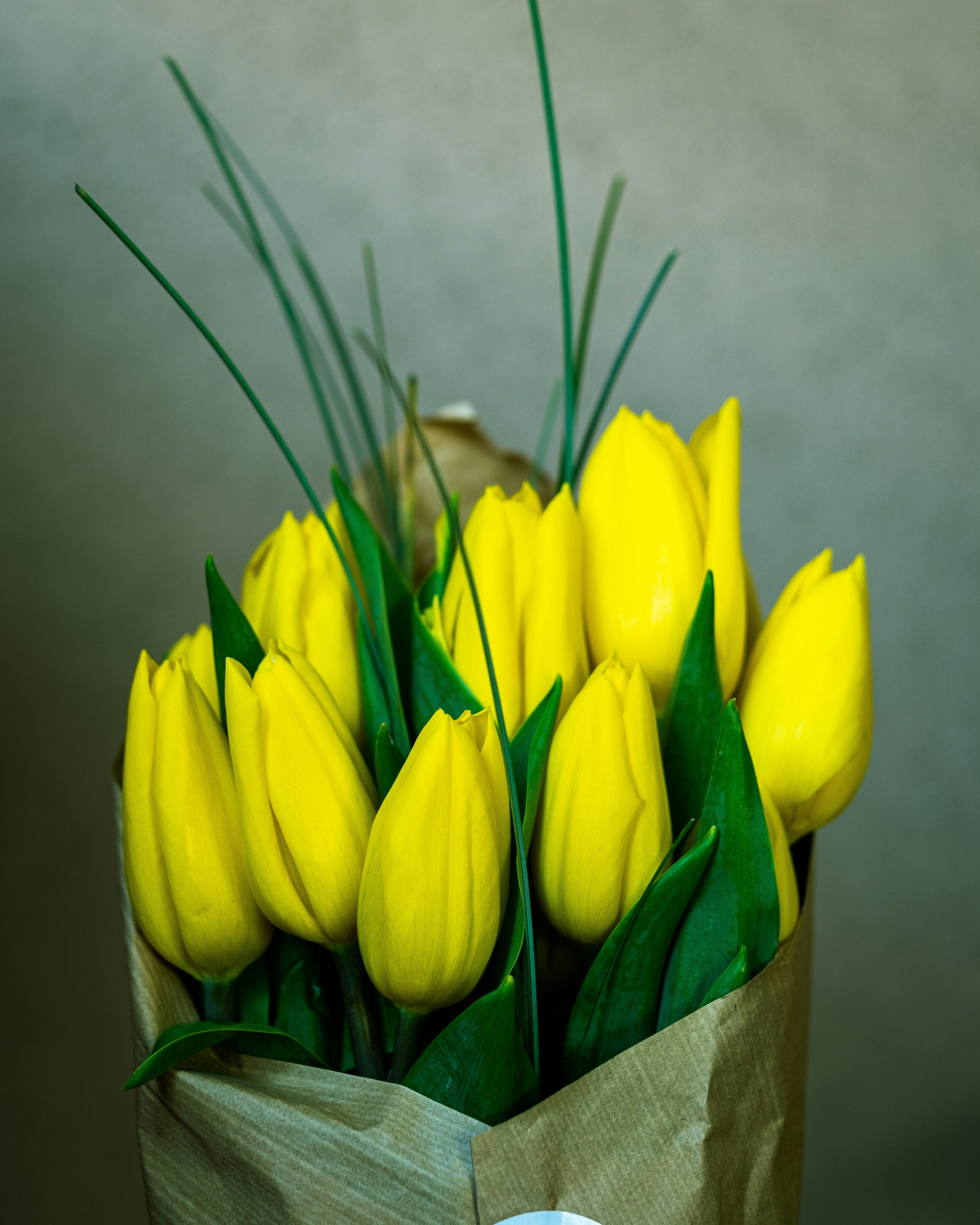 perfect for celebrating special moments. Fresh, elegant, and full of color."