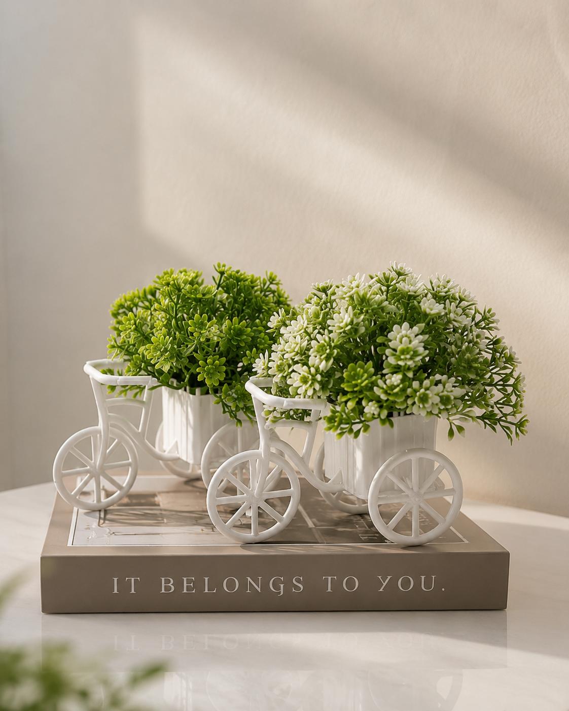 Bicycle flower planters.