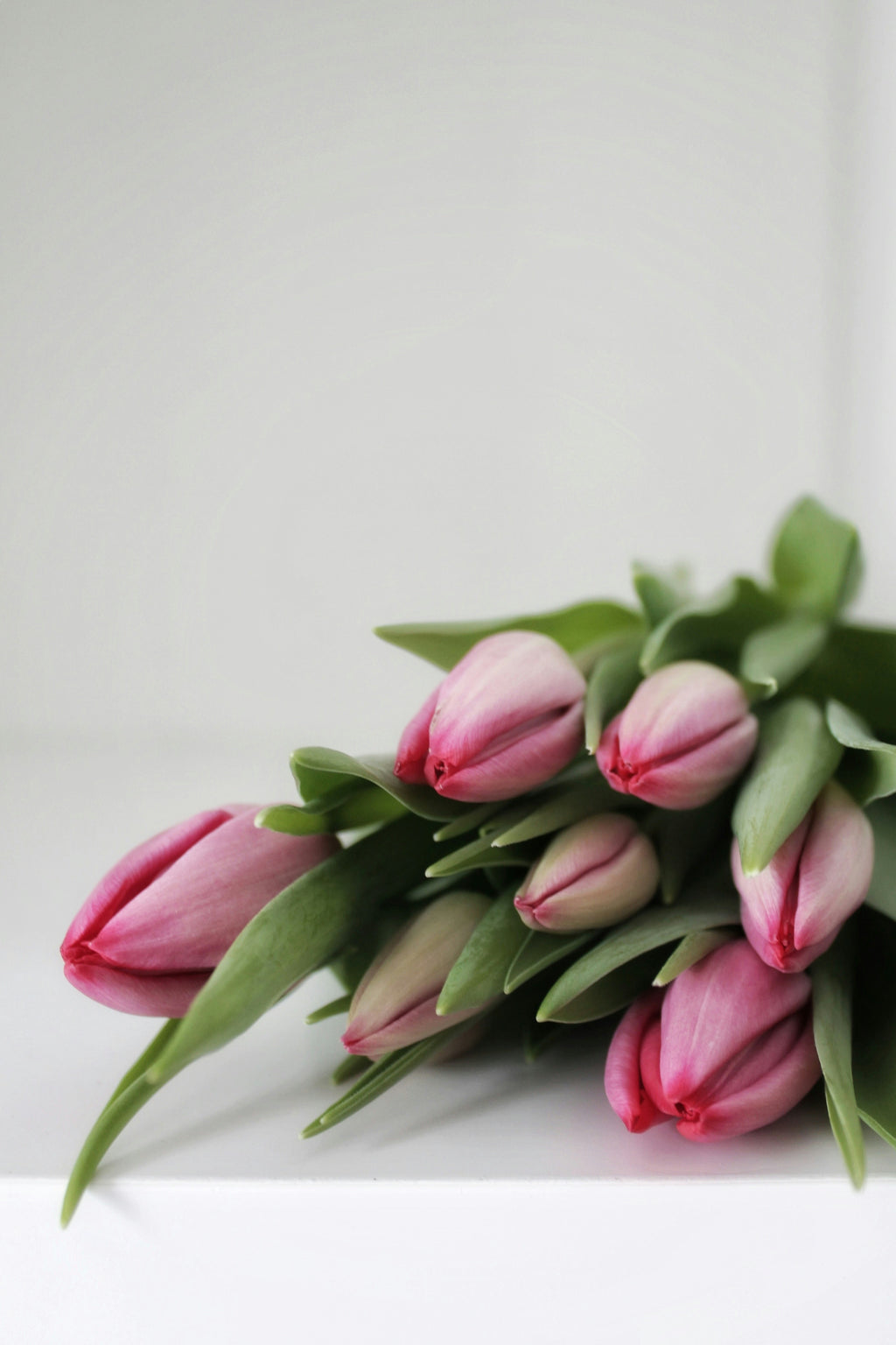 Pink Tulip Bouquet