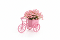 Bicicleta rosa