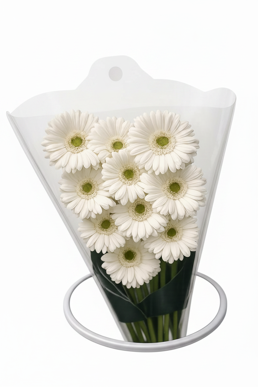Bouquet gerberas blancas fondo blanco