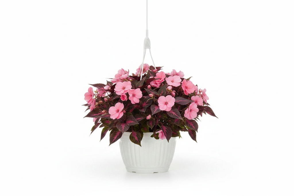 Cesta Colgante - Vasija Blanca