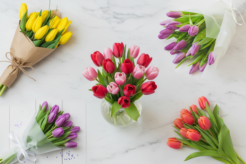 Colección de Tulipanes - 4 Ramos