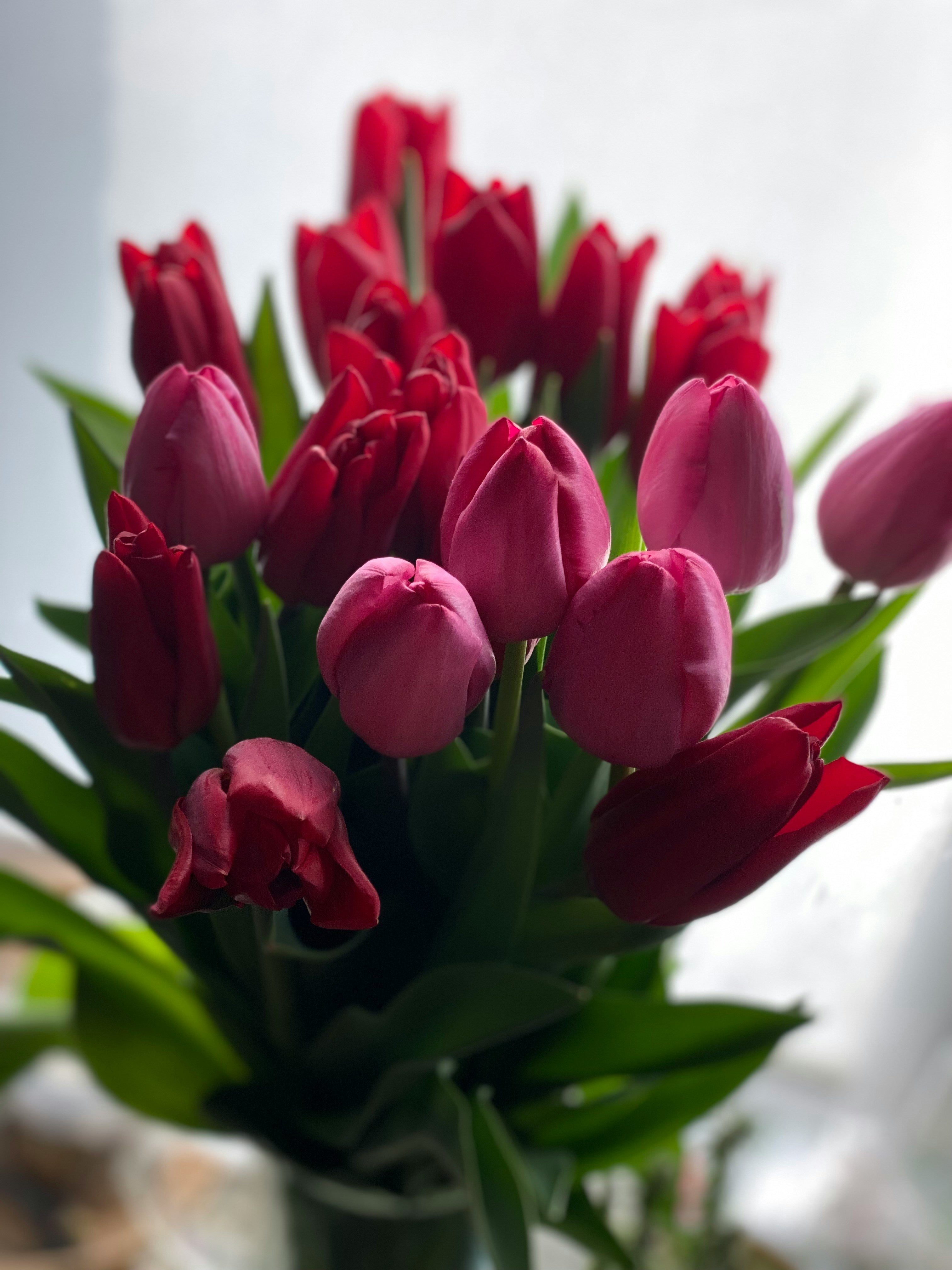 Pink Tulip Bouquet