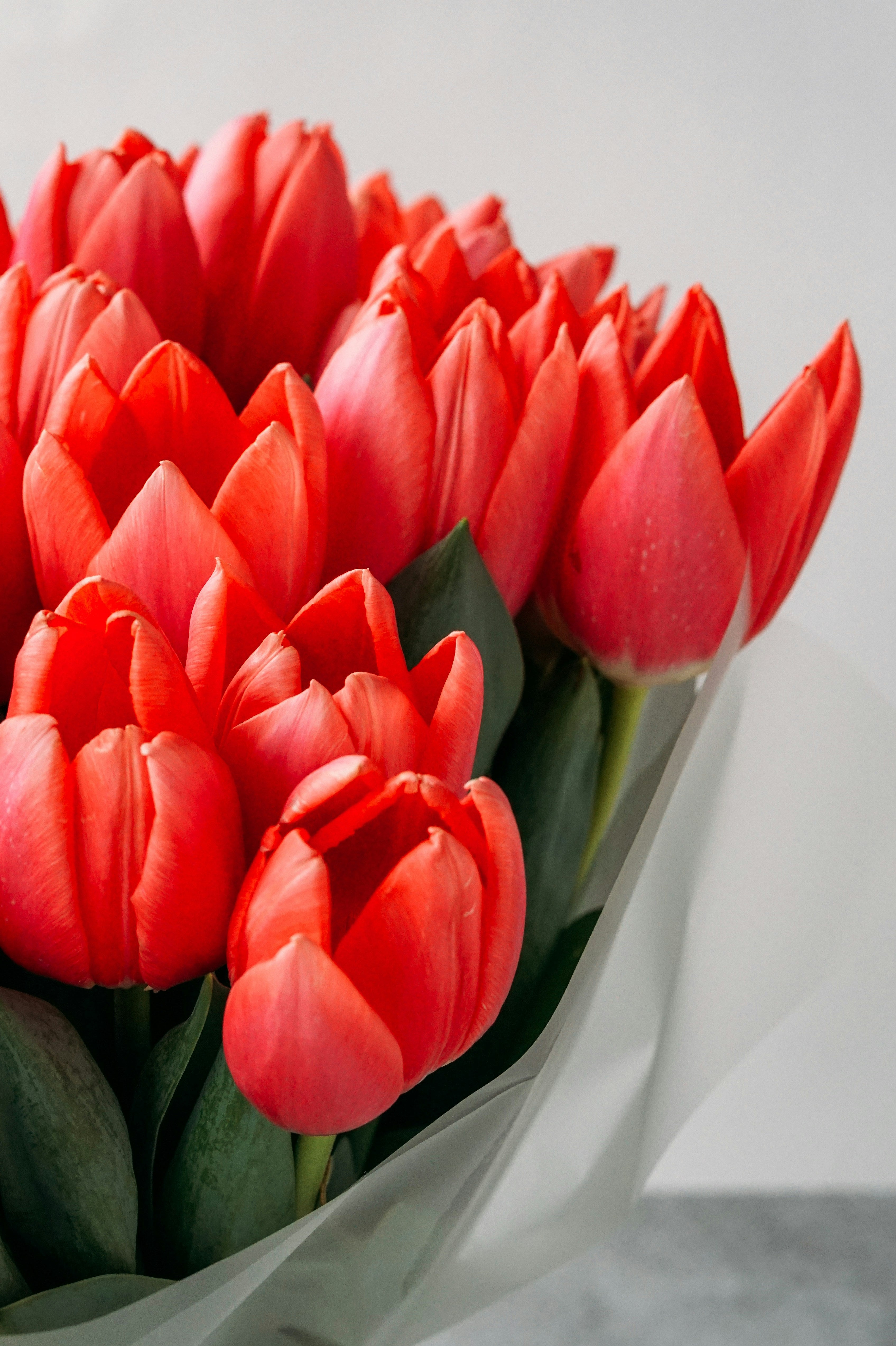 perfect for celebrating special moments. Fresh, elegant, and full of color."