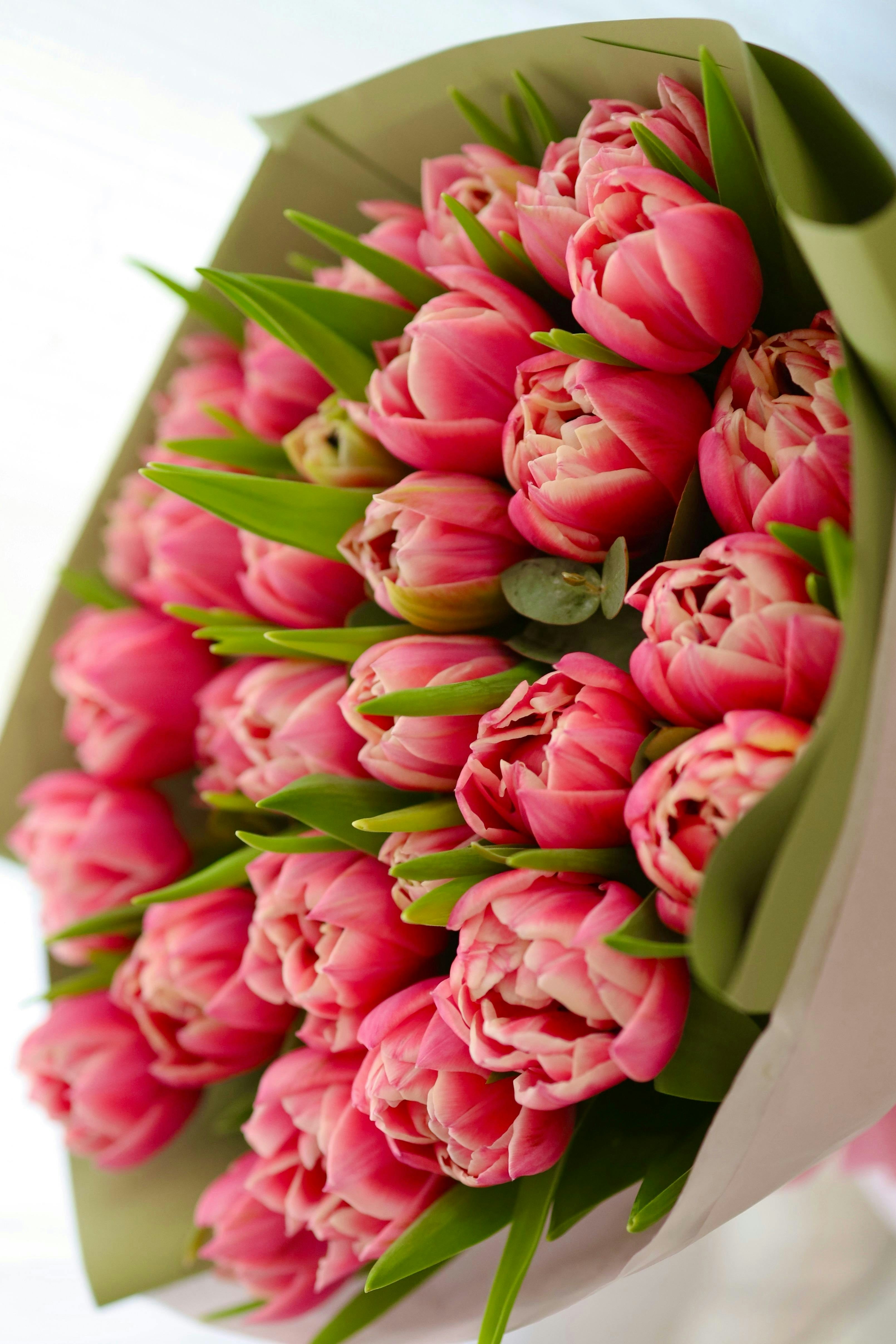 Pink Tulip Bouquet