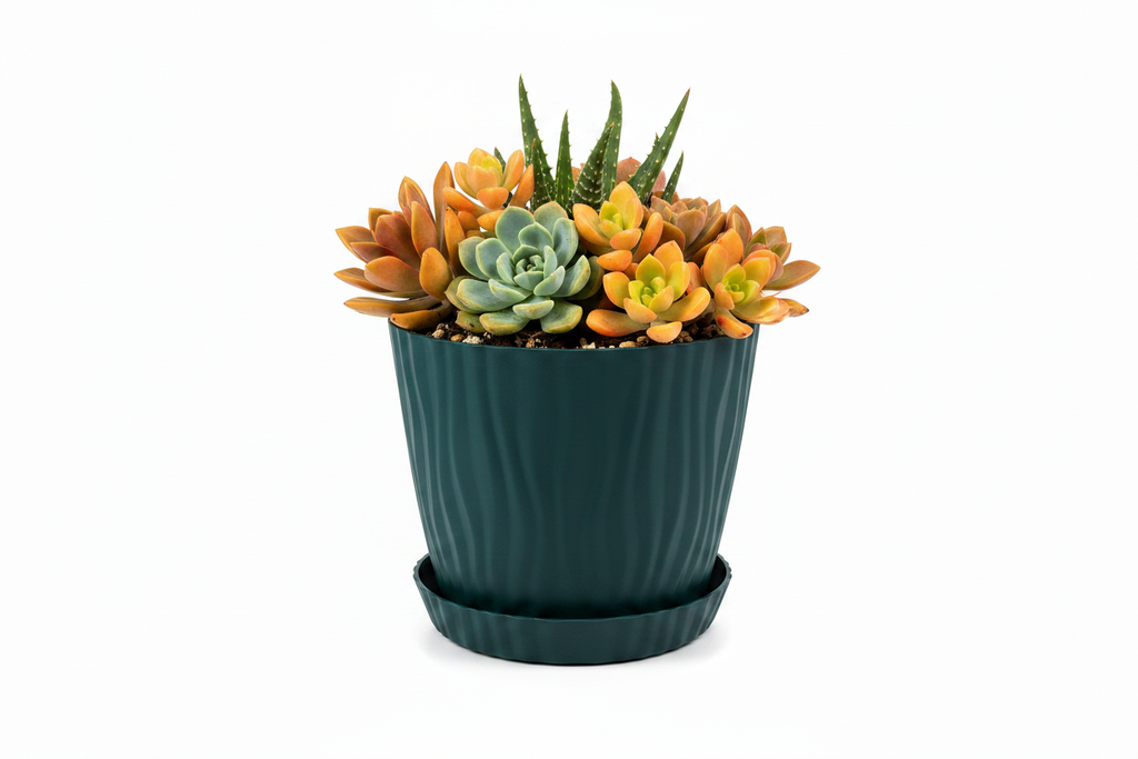 Macetero con flores