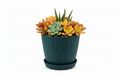 Macetero con flores