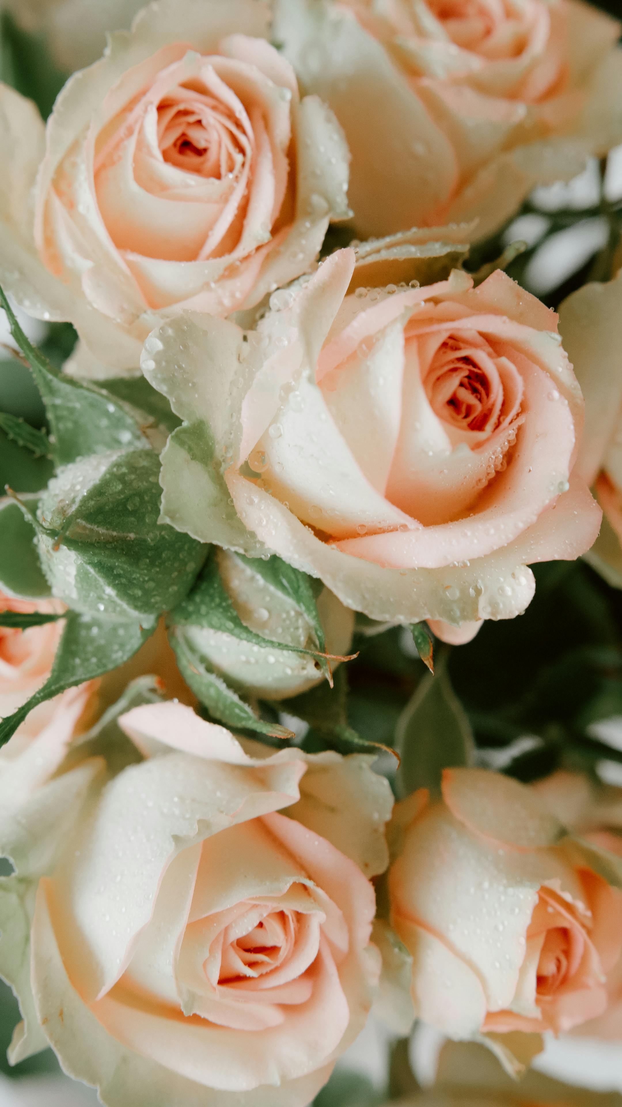 perfect for celebrating special moments. Fresh, elegant, and full of color."