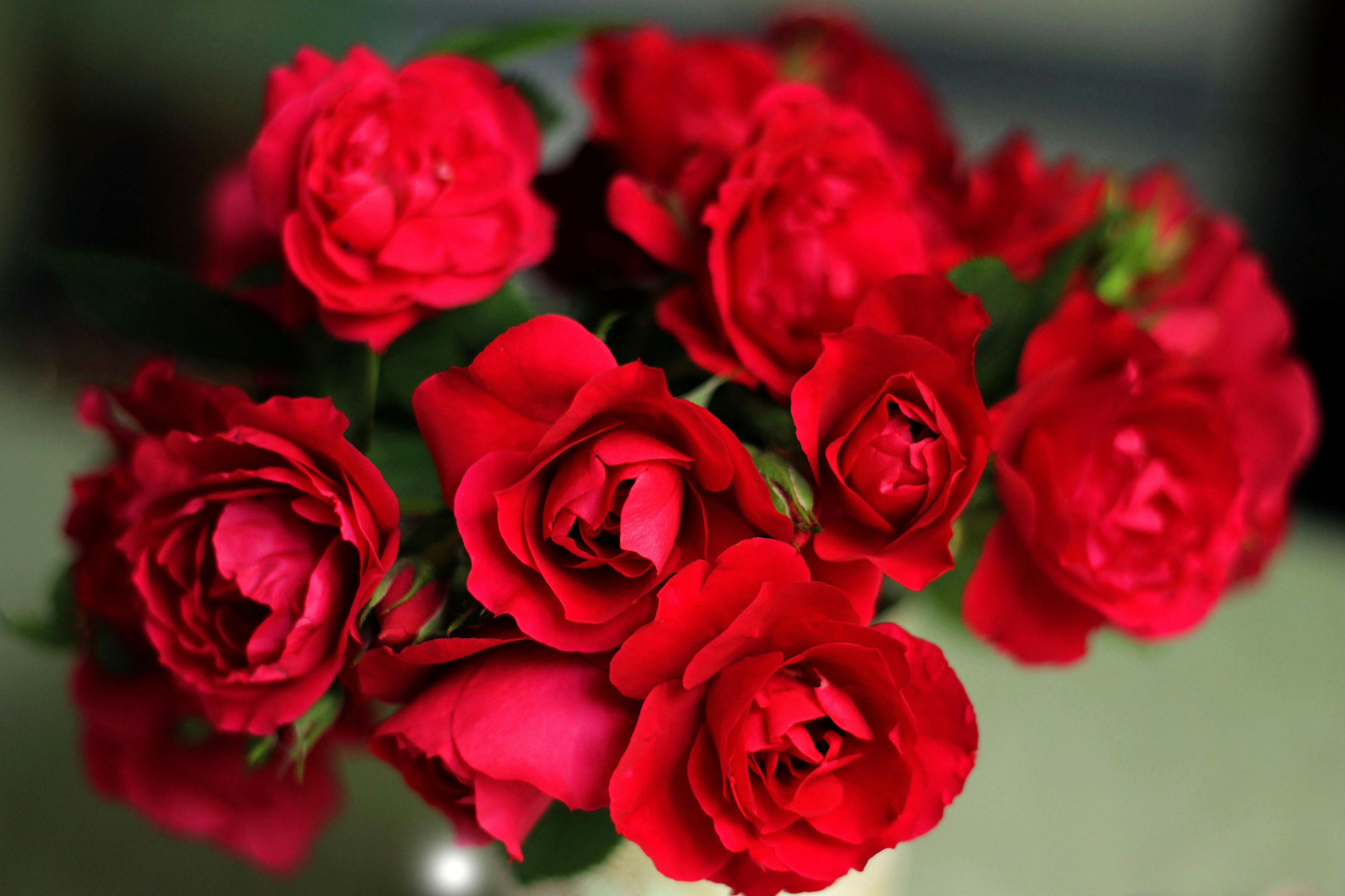 perfect for celebrating special moments. Fresh, elegant, and full of color."