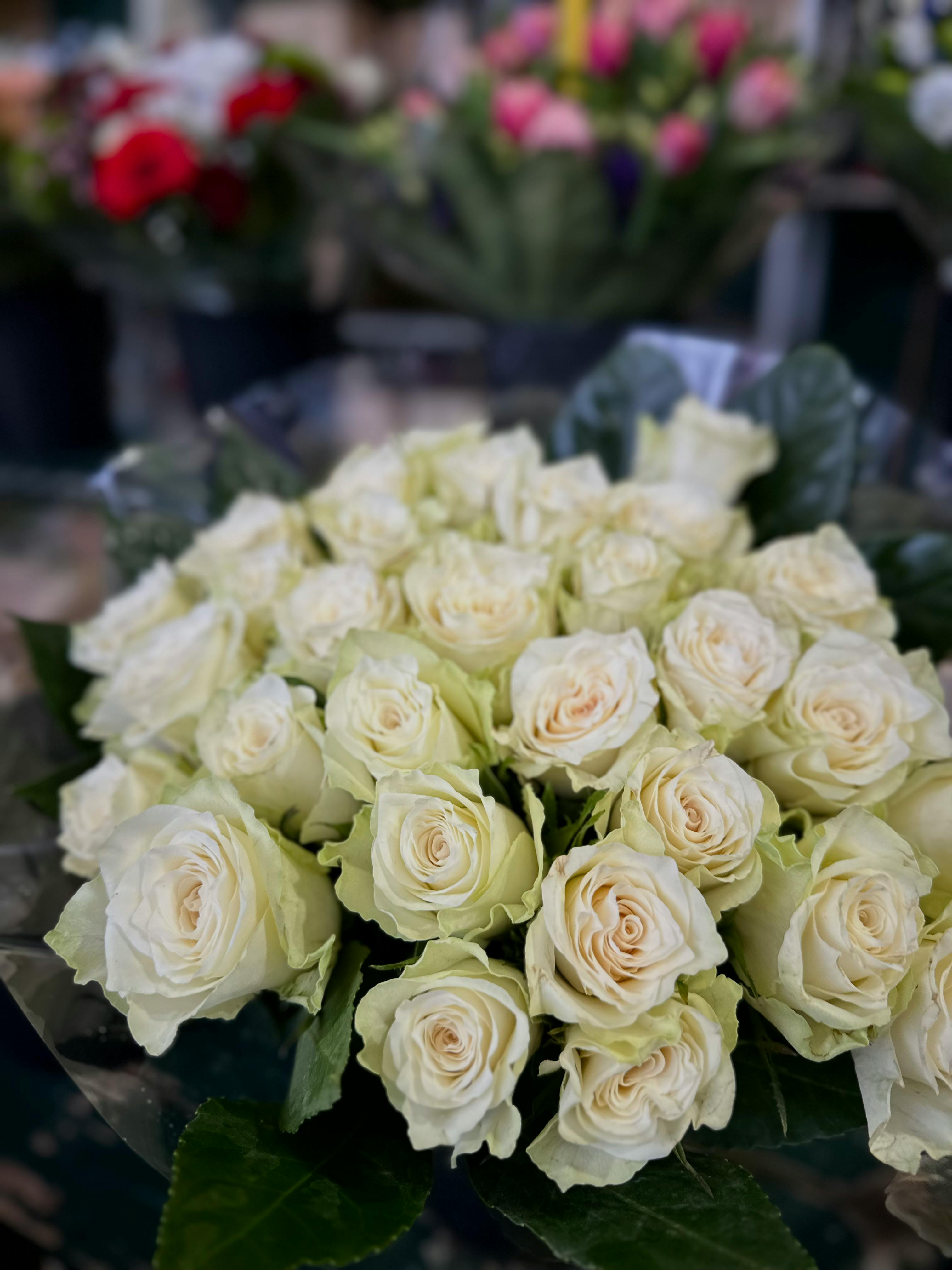 perfect for celebrating special moments.