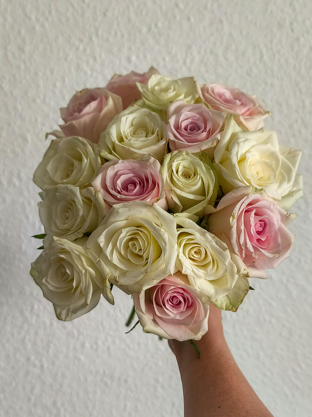 perfect for celebrating special moments.
