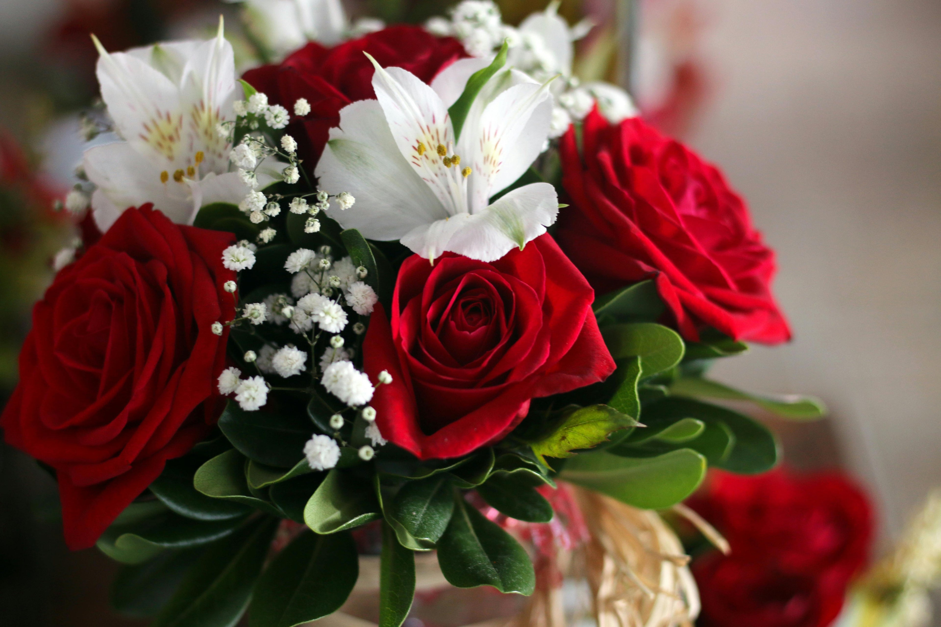 For special moments. Fresh, elegant, and full of color."